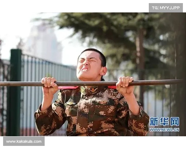 新兵王攻略:从菜鸟到王者之路 新兵王攻略:从菜鸟到王者之路