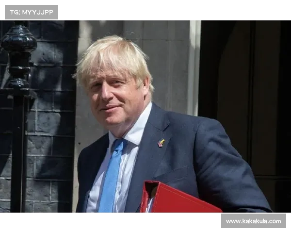 约翰逊:辉煌生涯之路 约翰逊:辉煌生涯之路