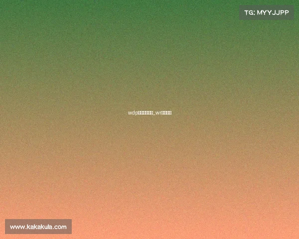 wdp电子竞技协会_wr电子竞技